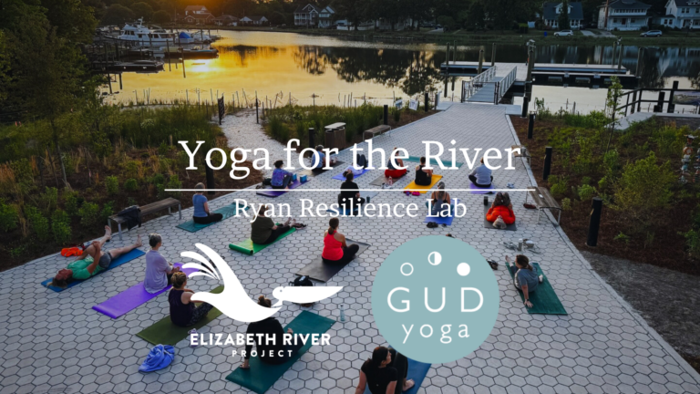 Yoga for the River